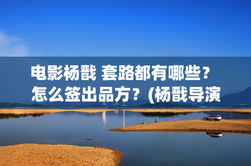 电影杨戬 套路都有哪些？ 怎么签出品方？(杨戬导演)