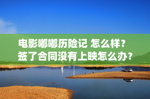 电影嘟嘟历险记 怎么样？ 签了合同没有上映怎么办？(电影嘟嘟历险记在线观看)