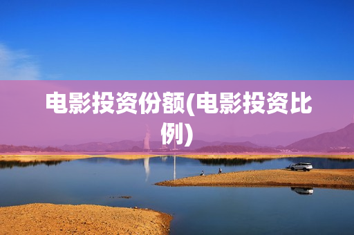 电影投资份额(电影投资比例)