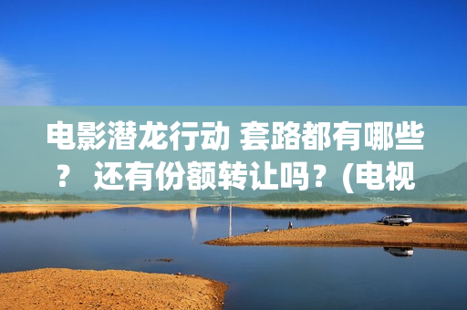 电影潜龙行动 套路都有哪些？ 还有份额转让吗？(电视剧潜龙行动高清)