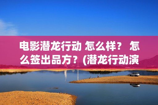 电影潜龙行动 怎么样？ 怎么签出品方？(潜龙行动演员表)