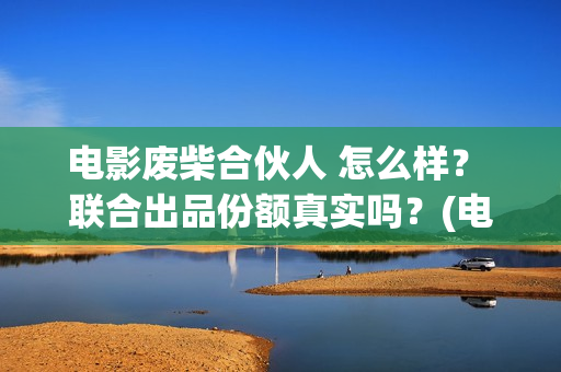 电影废柴合伙人 怎么样？ 联合出品份额真实吗？(电影废柴合伙人在线观看)