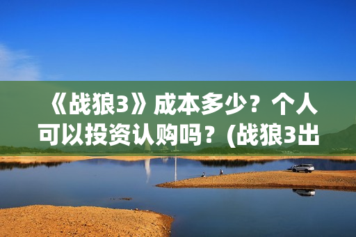 《战狼3》成本多少？个人可以投资认购吗？(战狼3出品公司)