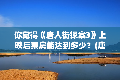 你觉得《唐人街探案3》上映后票房能达到多少？(唐人街讲的什么意思)