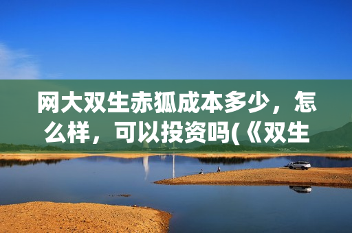 网大双生赤狐成本多少，怎么样，可以投资吗(《双生赤狐》)