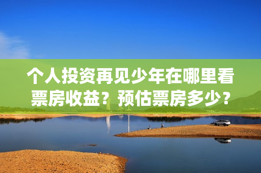 个人投资再见少年在哪里看票房收益？预估票房多少？回(你认为个人投资需要什么条件?)