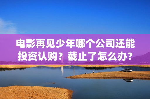 电影再见少年哪个公司还能投资认购？截止了怎么办？(电影再见少年真实事件原型)