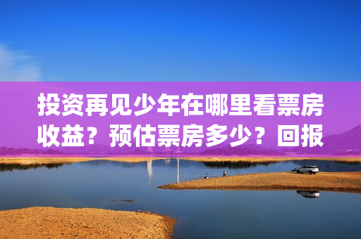 投资再见少年在哪里看票房收益？预估票房多少？回报率(再见少年个人投资真实吗)