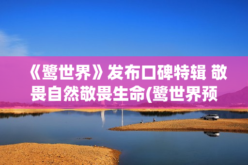 《鹭世界》发布口碑特辑 敬畏自然敬畏生命(鹭世界预告片)