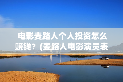  电影麦路人个人投资怎么赚钱？(麦路人电影演员表)