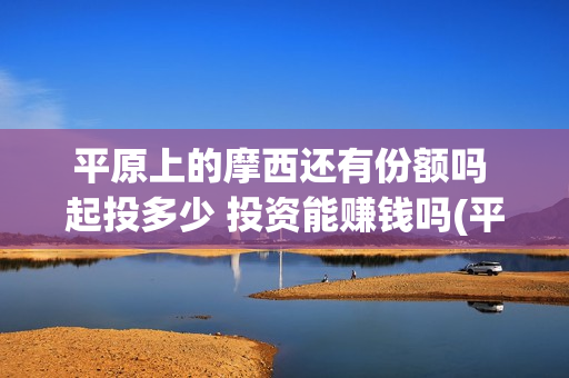 平原上的摩西还有份额吗 起投多少 投资能赚钱吗(平原上的摩西究竟讲的什么)