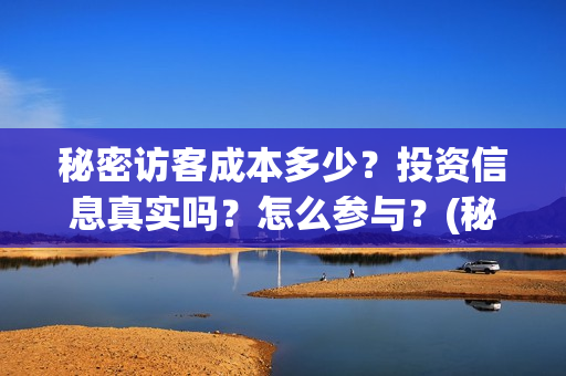 秘密访客成本多少？投资信息真实吗？怎么参与？(秘密访客赔钱了吗)