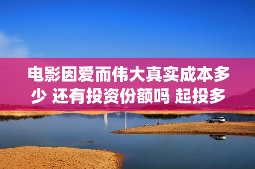 电影因爱而伟大真实成本多少 还有投资份额吗 起投多少(因爱而伟大电影简介)