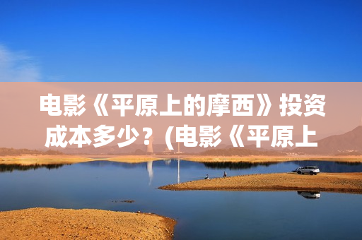 电影《平原上的摩西》投资成本多少？(电影《平原上的火焰》豆瓣评分)