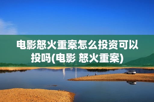 电影怒火重案怎么投资可以投吗(电影 怒火重案)