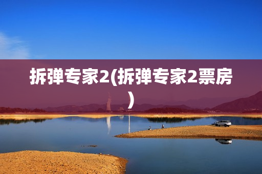 拆弹专家2(拆弹专家2票房)