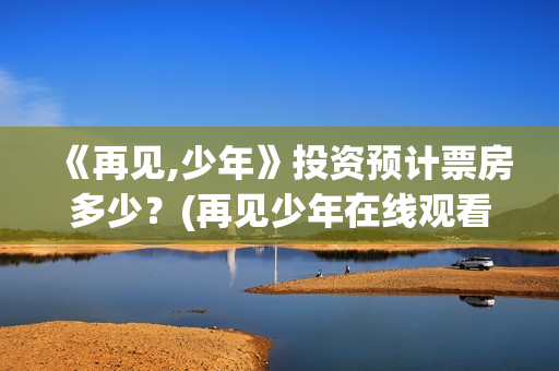 《再见,少年》投资预计票房多少？(再见少年在线观看免费完整版)