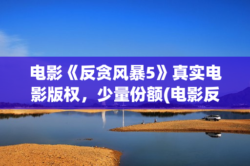 电影《反贪风暴5》真实电影版权，少量份额(电影反贪风暴3(普通话)在线观看)