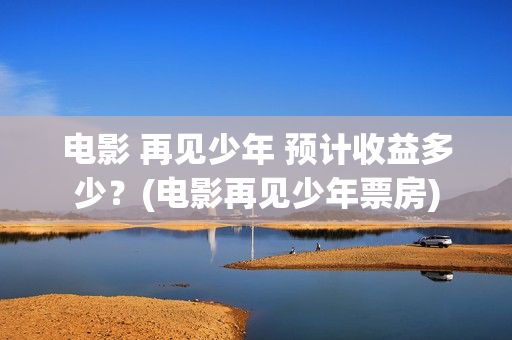 电影 再见少年 预计收益多少？(电影再见少年票房)