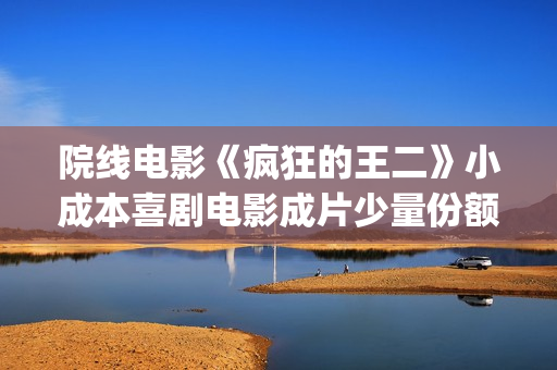 院线电影《疯狂的王二》小成本喜剧电影成片少量份额(疯狂 电影 2007)