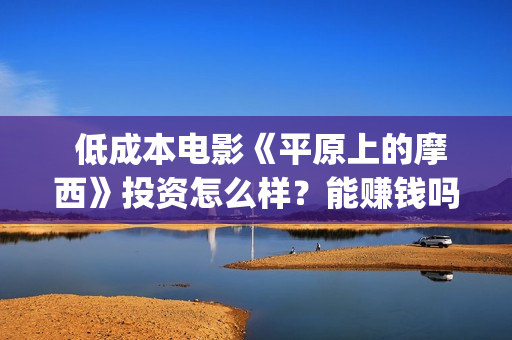  低成本电影《平原上的摩西》投资怎么样？能赚钱吗？(低成本高口碑电影)