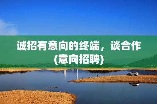 诚招有意向的终端，谈合作(意向招聘)