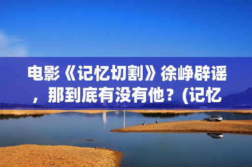 电影《记忆切割》徐峥辟谣，那到底有没有他？(记忆切割电影海报)