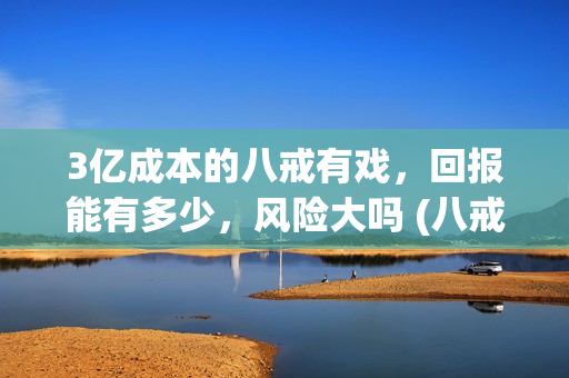 3亿成本的八戒有戏，回报能有多少，风险大吗 (八戒做生意)
