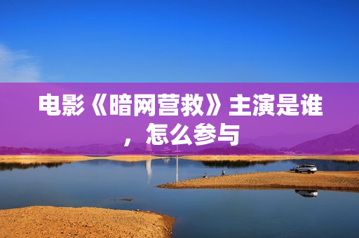 电影《暗网营救》主演是谁，怎么参与