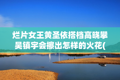 烂片女王黄圣依搭档高晓攀吴镇宇会擦出怎样的火花(黄圣依公演)