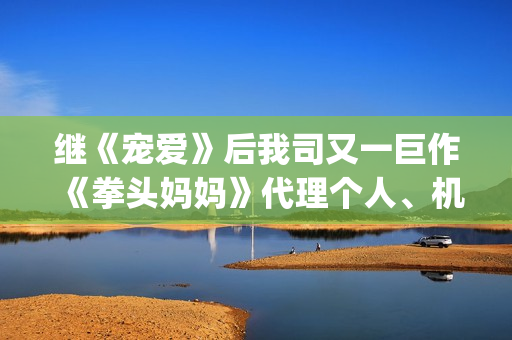 继《宠爱》后我司又一巨作《拳头妈妈》代理个人、机构等资方对接合作(《过后宠爱》)