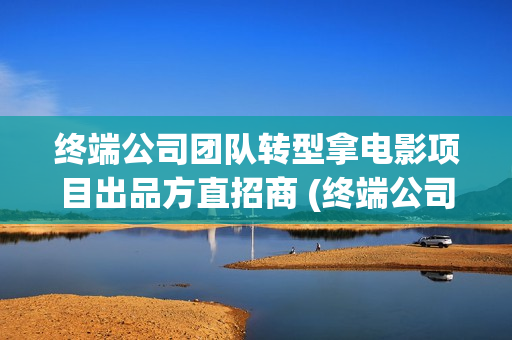 终端公司团队转型拿电影项目出品方直招商 (终端公司团队转型方案)