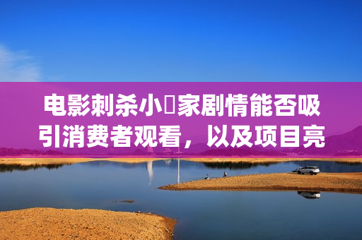 电影刺杀小説家剧情能否吸引消费者观看，以及项目亮点跟投资风险？ (电影刺杀小说家2免费观看)