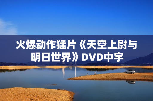 火爆动作猛片《天空上尉与明日世界》DVD中字