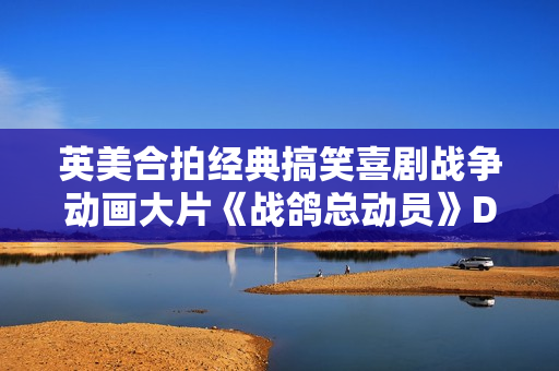 英美合拍经典搞笑喜剧战争动画大片《战鸽总动员》DVD中字