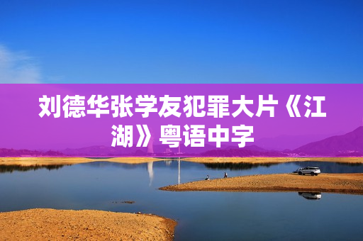 刘德华张学友犯罪大片《江湖》粤语中字