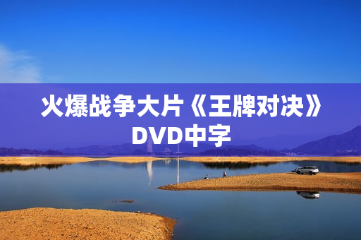 火爆战争大片《王牌对决》DVD中字