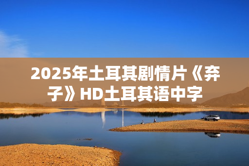 2025年土耳其剧情片《弃子》HD土耳其语中字