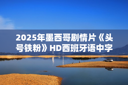 2025年墨西哥剧情片《头号铁粉》HD西班牙语中字