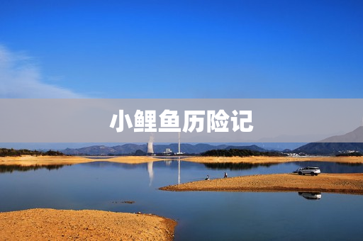 小鲤鱼历险记