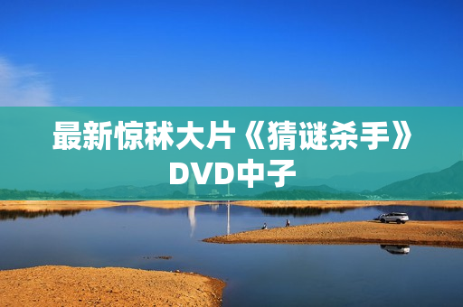 最新惊秫大片《猜谜杀手》DVD中子