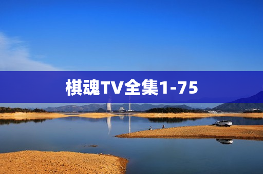棋魂TV全集1-75