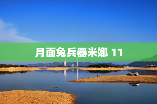 月面兔兵器米娜 11