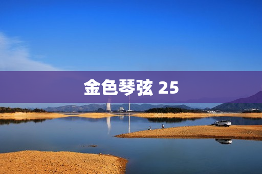 金色琴弦 25