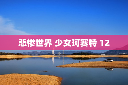 悲惨世界 少女珂赛特 12