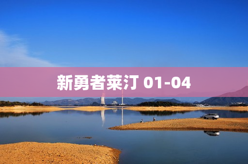 新勇者莱汀 01-04