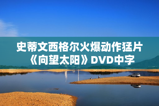 史蒂文西格尔火爆动作猛片《向望太阳》DVD中字
