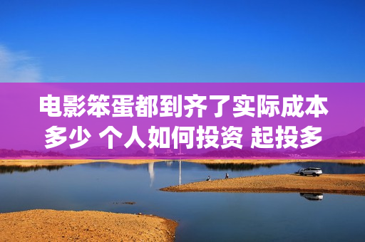 电影笨蛋都到齐了实际成本多少 个人如何投资 起投多少(请问笨蛋)