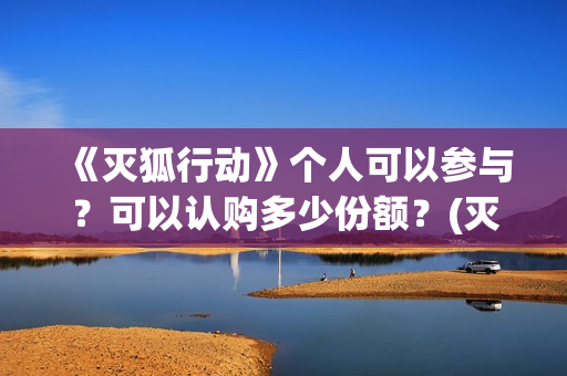 《灭狐行动》个人可以参与？可以认购多少份额？(灭狐行动制片人)