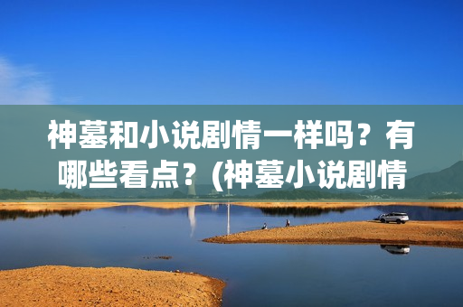 神墓和小说剧情一样吗？有哪些看点？(神墓小说剧情介绍)